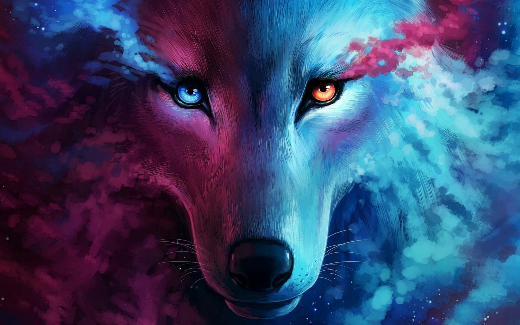 Wolf Wallpapers