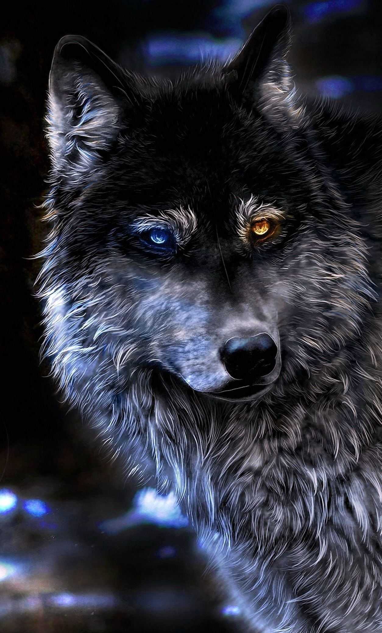 Wolf Wallpapers