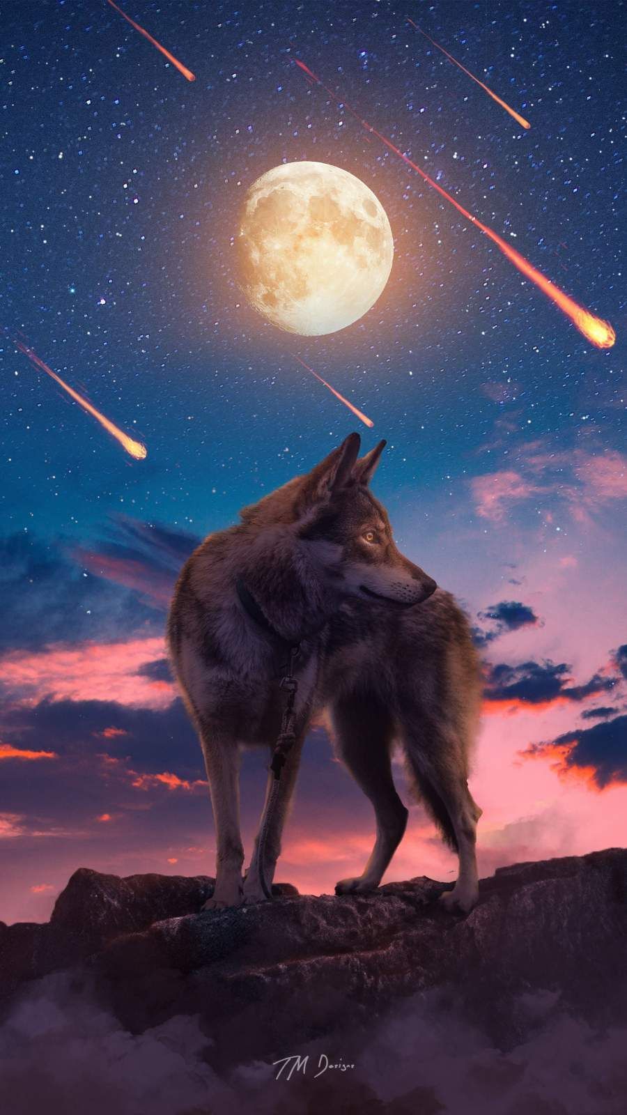 Wolf Aesthetic Wallpapers