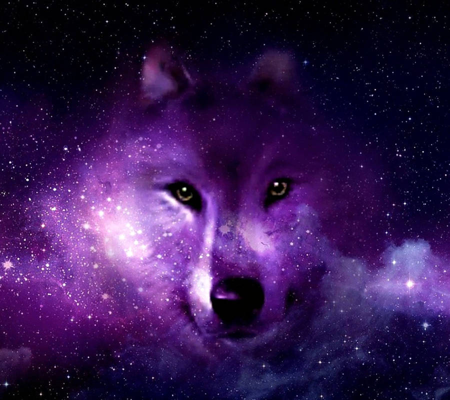 Wolf Aesthetic Wallpapers