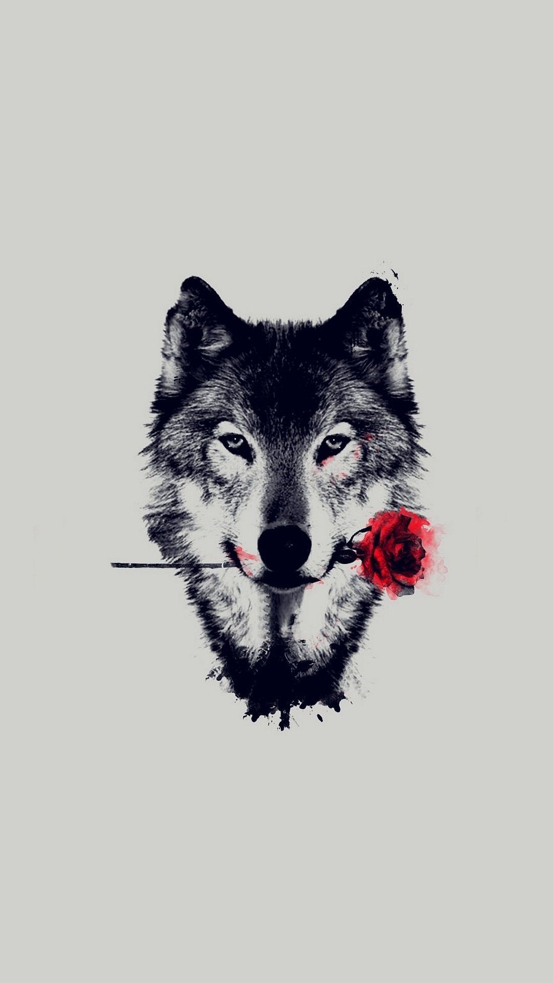 Wolf Aesthetic Wallpapers