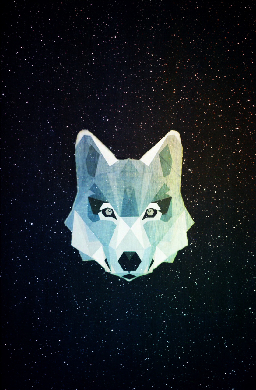 Wolf Aesthetic Wallpapers