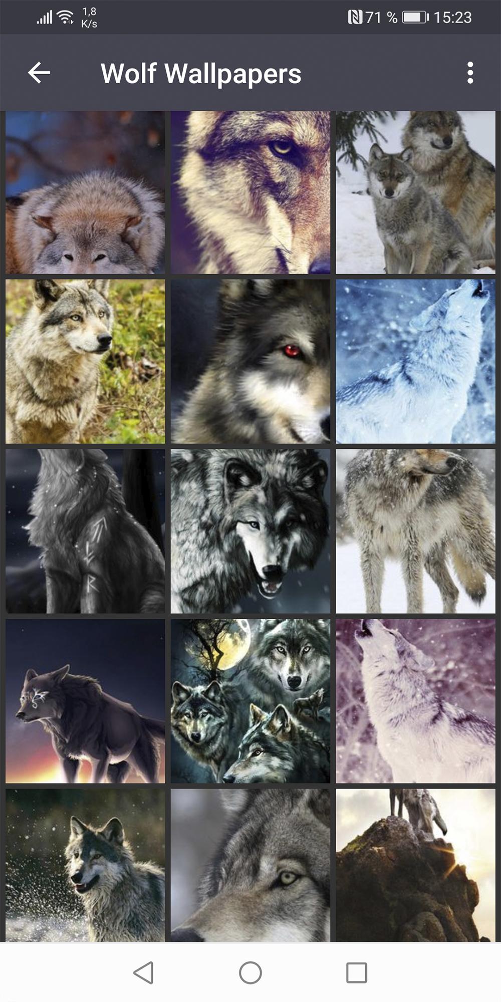 Wolf Aesthetic Wallpapers