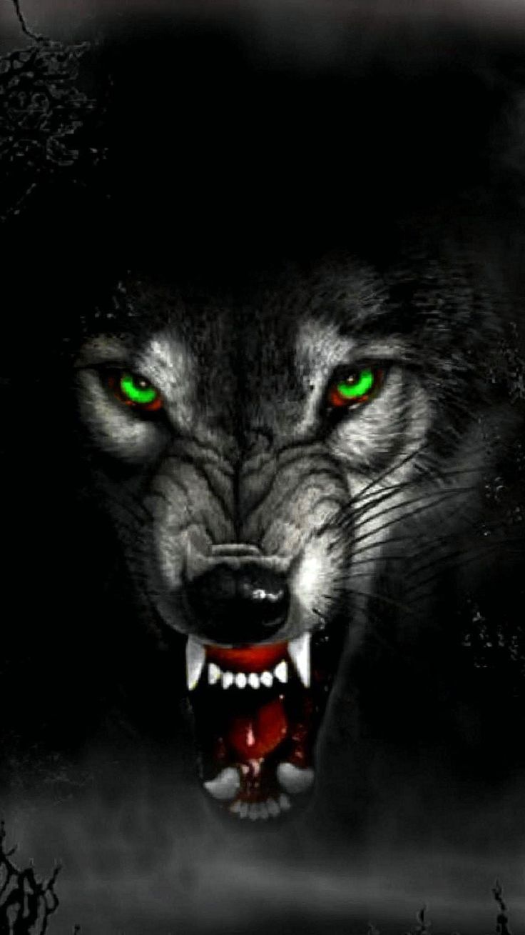 Wolf Android Wallpapers