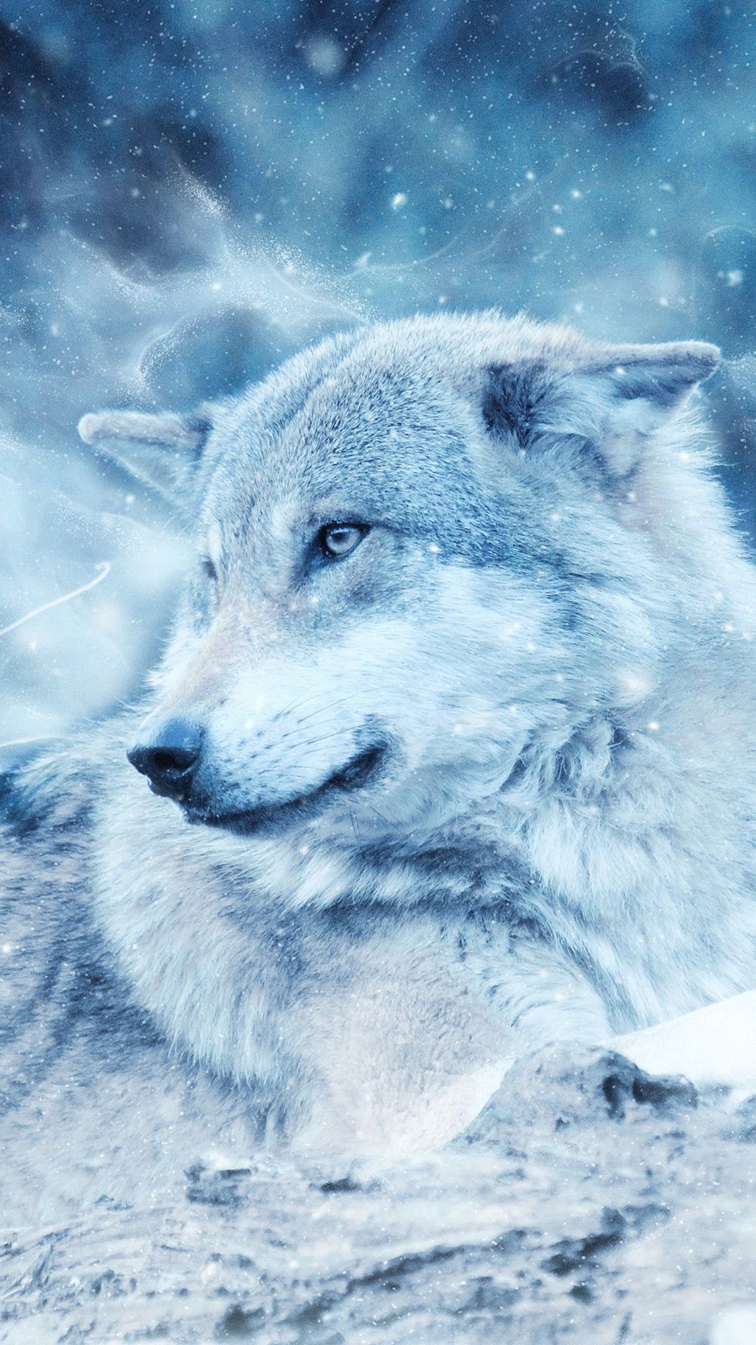 Wolf Android Wallpapers