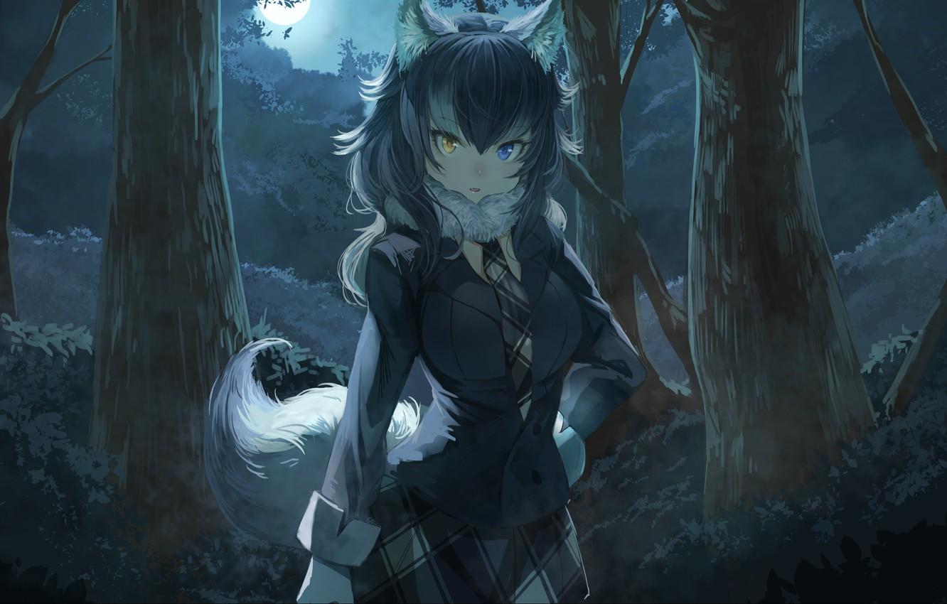 Wolf Anime Girl Wallpapers