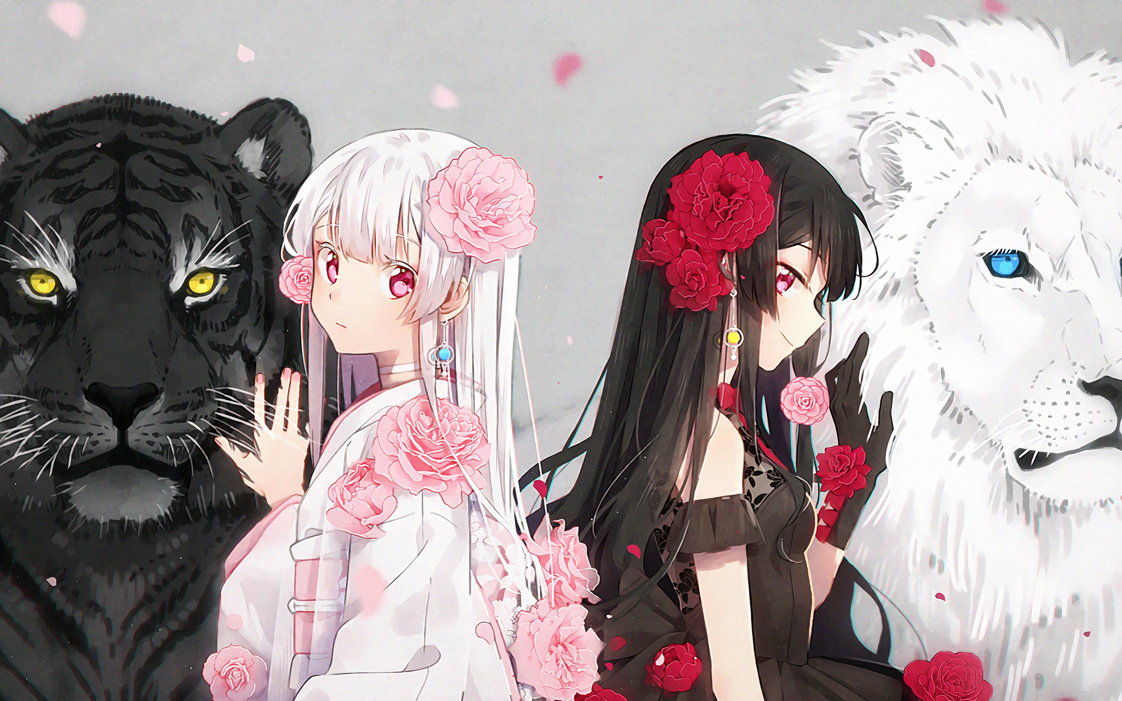 Wolf Anime Girl Wallpapers