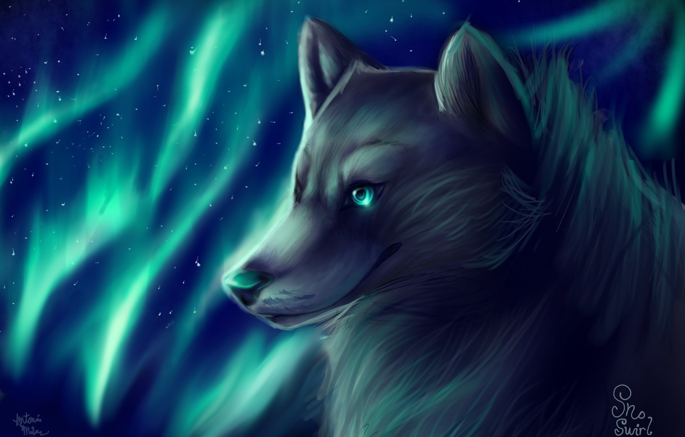 Wolf Aurora Borealis Wallpapers