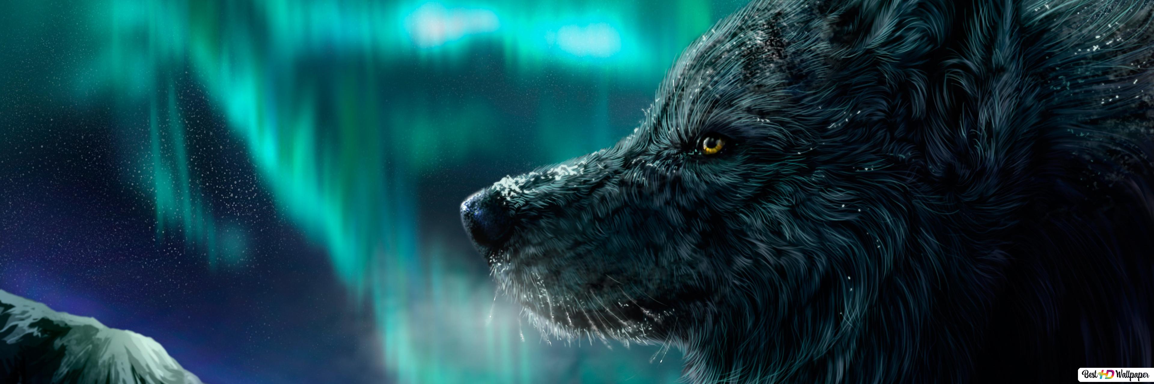 Wolf Aurora Borealis Wallpapers