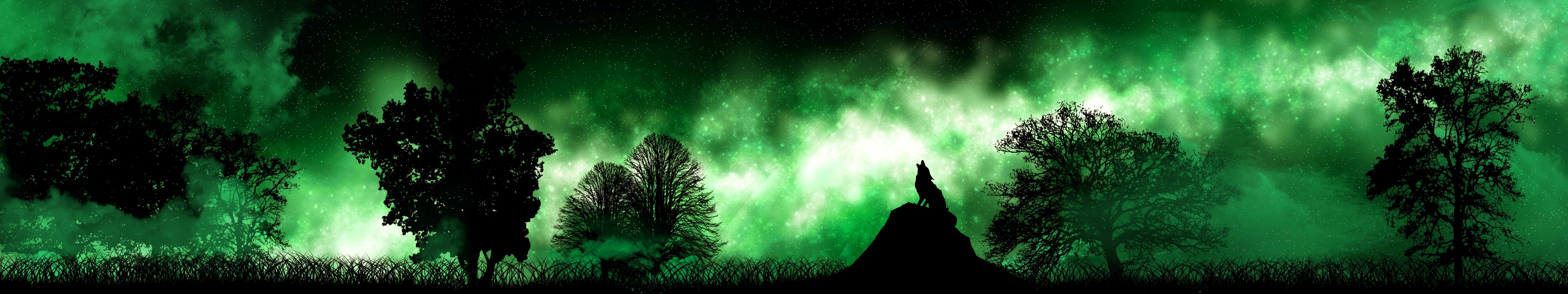 Wolf Aurora Borealis Wallpapers