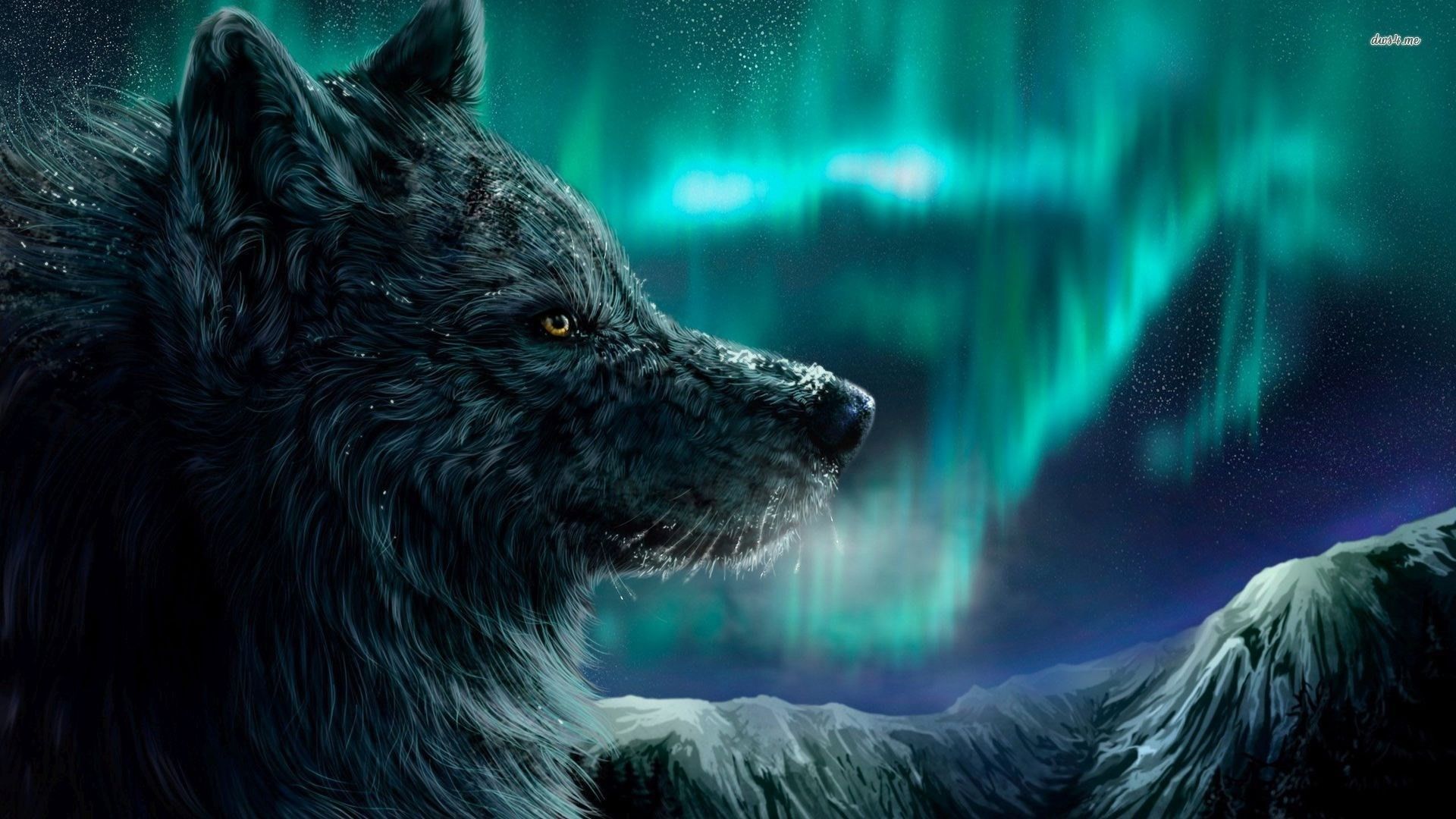 Wolf Aurora Borealis Wallpapers