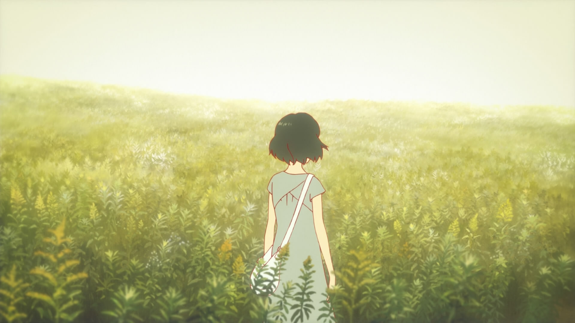 Wolf Children 1920X1080 Wallpapers