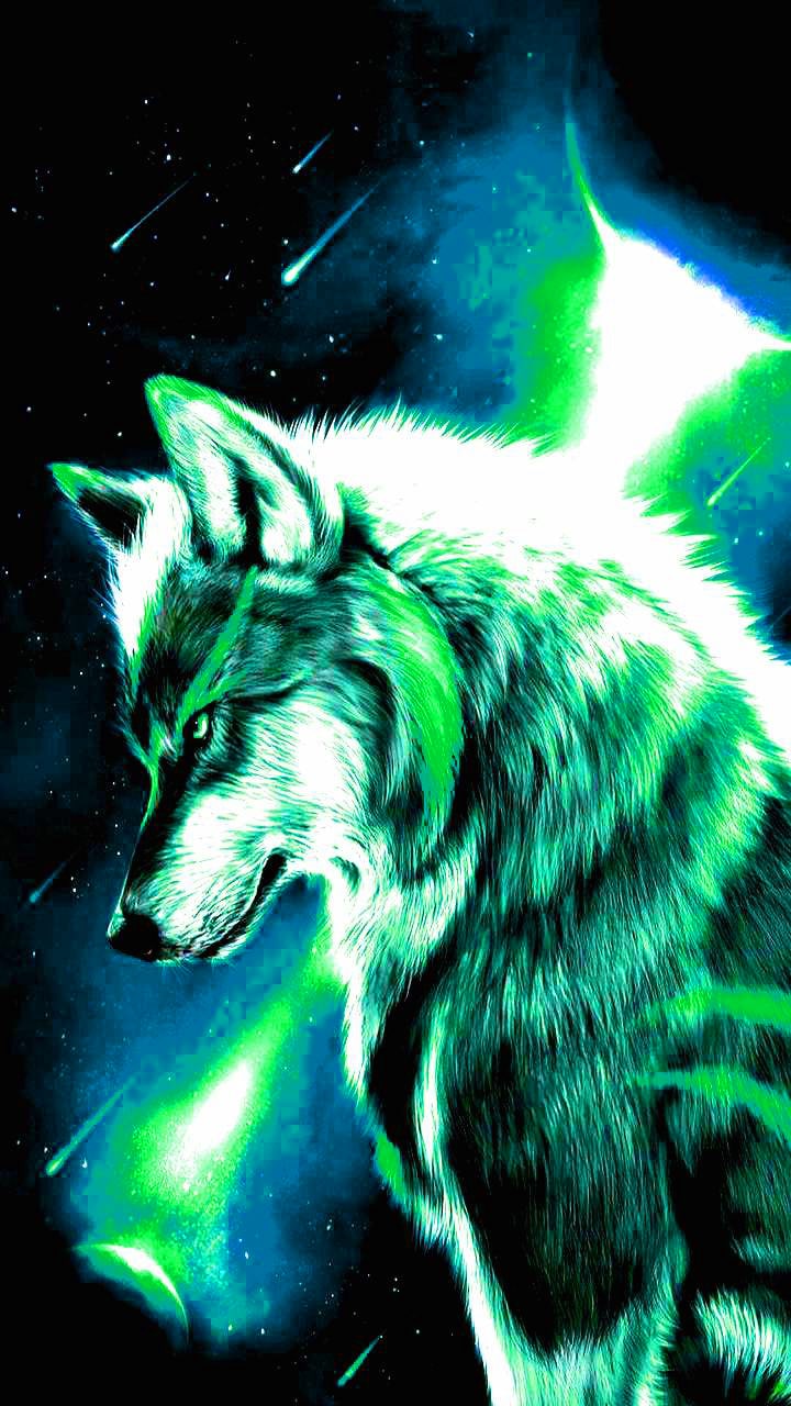 Wolf Cool Wallpapers