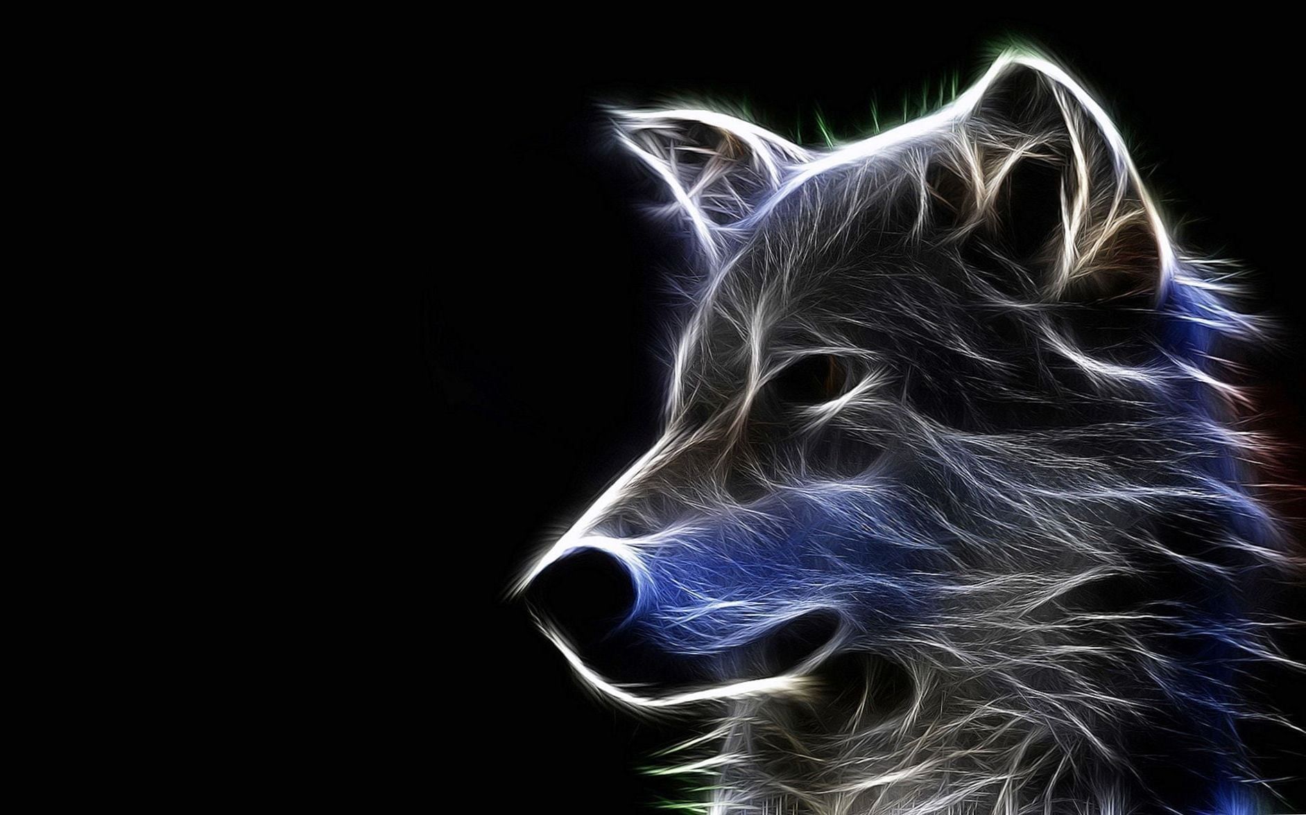 Wolf Cool Wallpapers