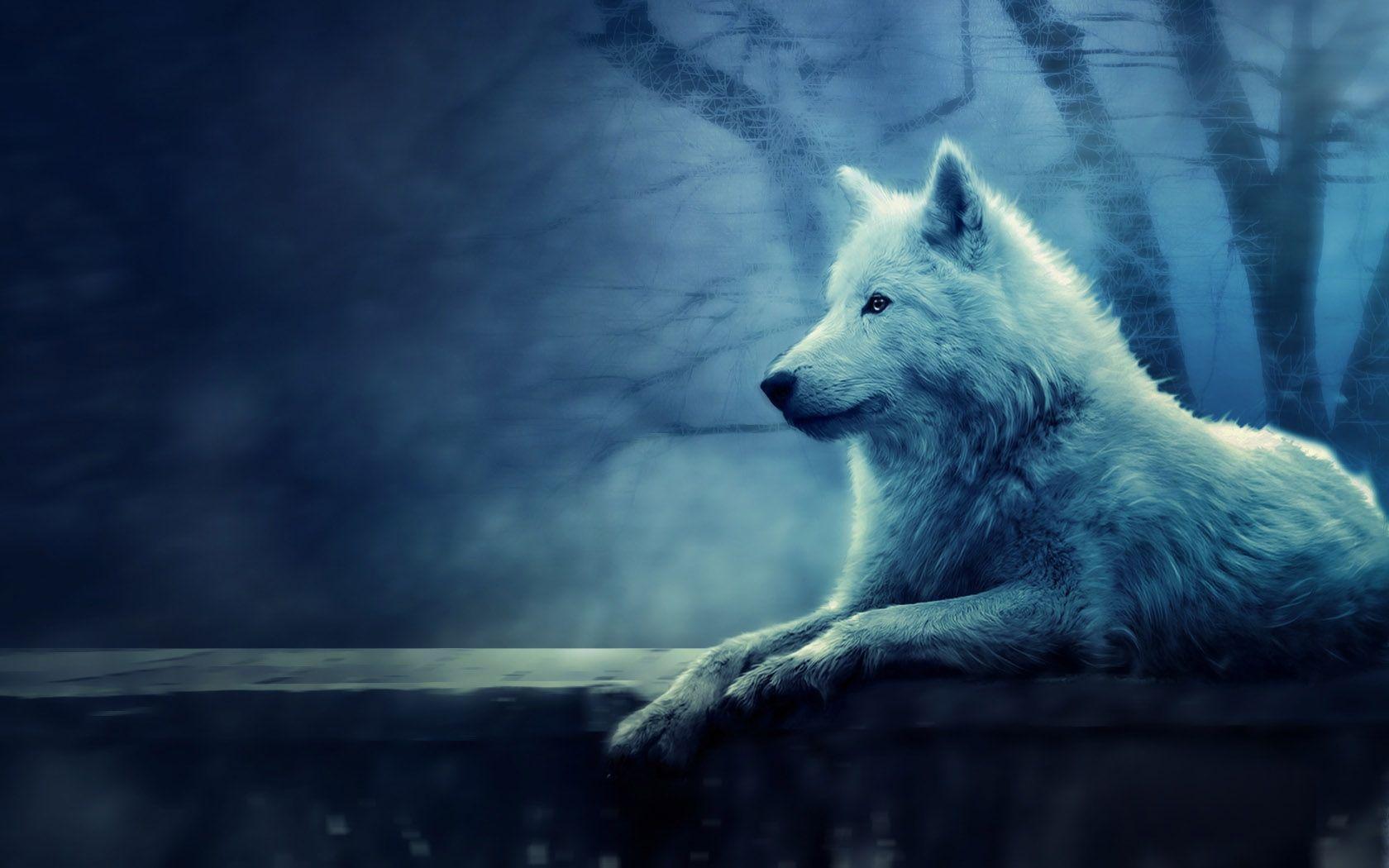 Wolf Desktop Wallpapers