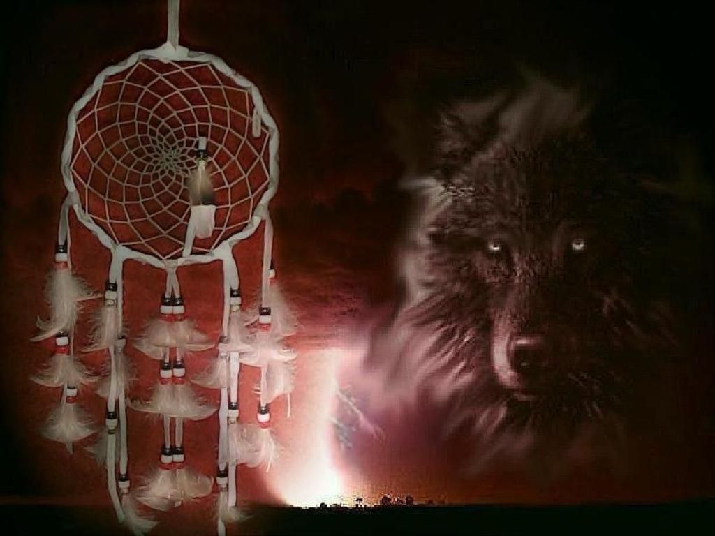 Wolf Dreamcatcher Wallpapers