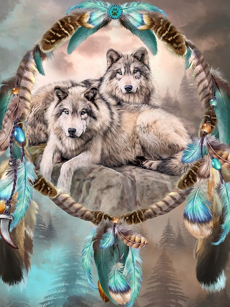 Wolf Dreamcatcher Wallpapers