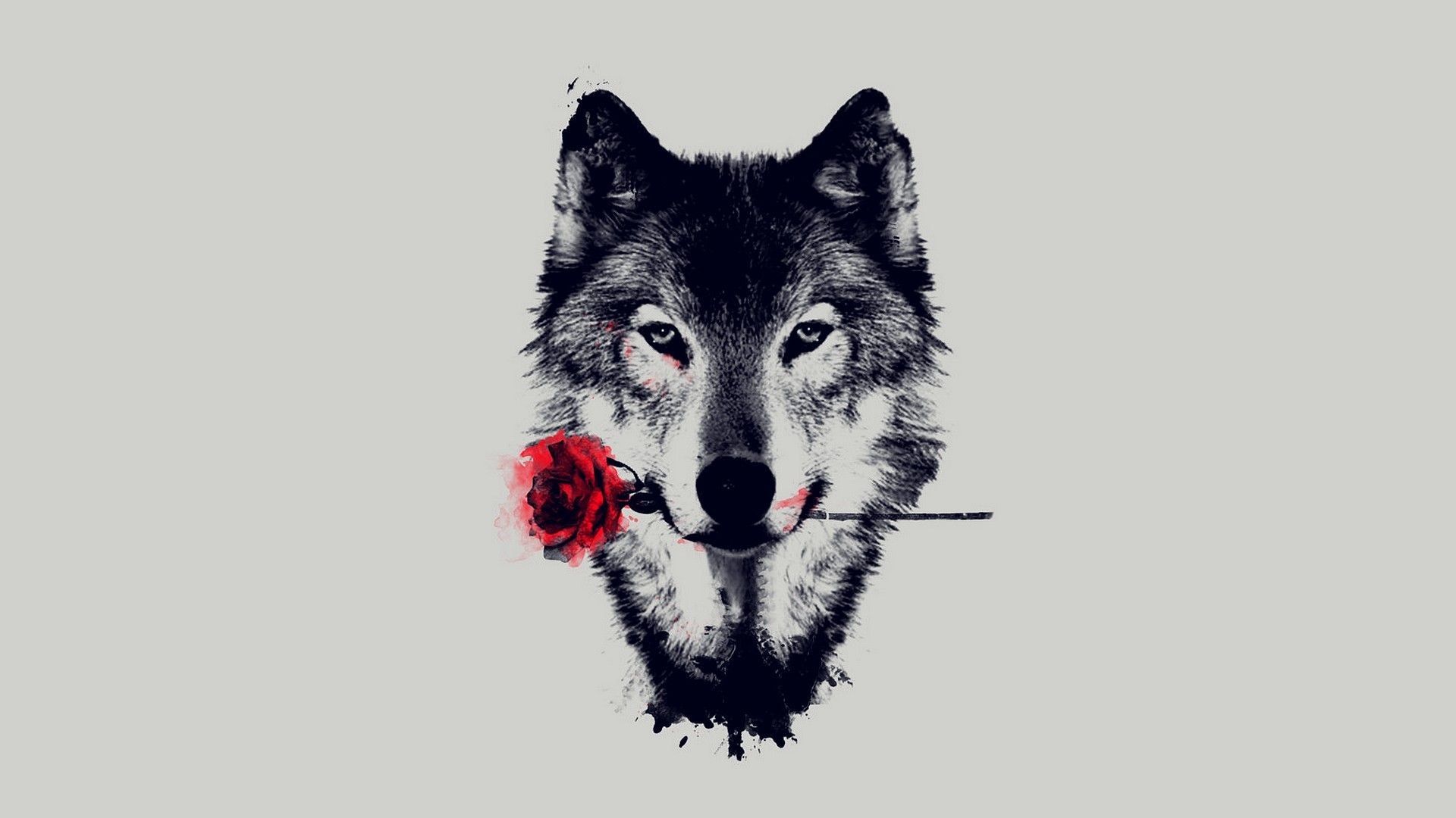 Wolf Face Wallpapers