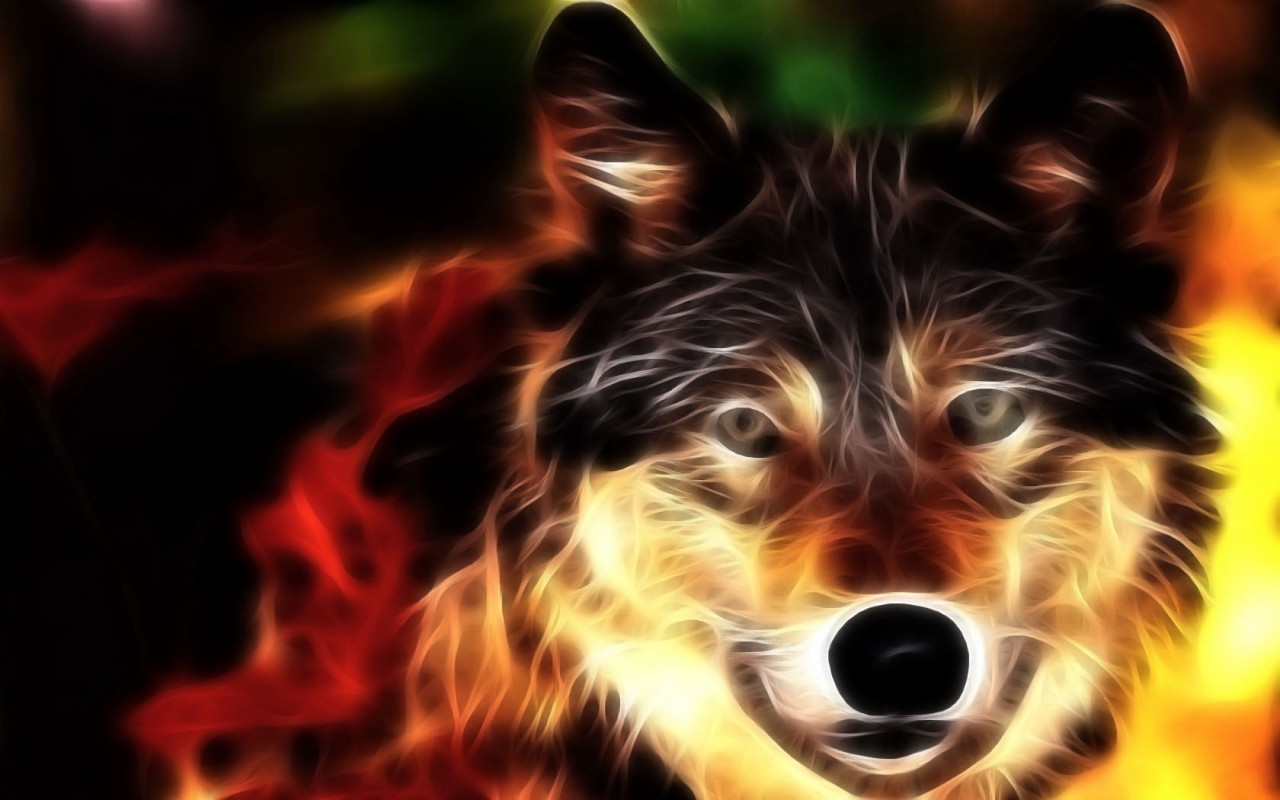 Wolf Face Wallpapers