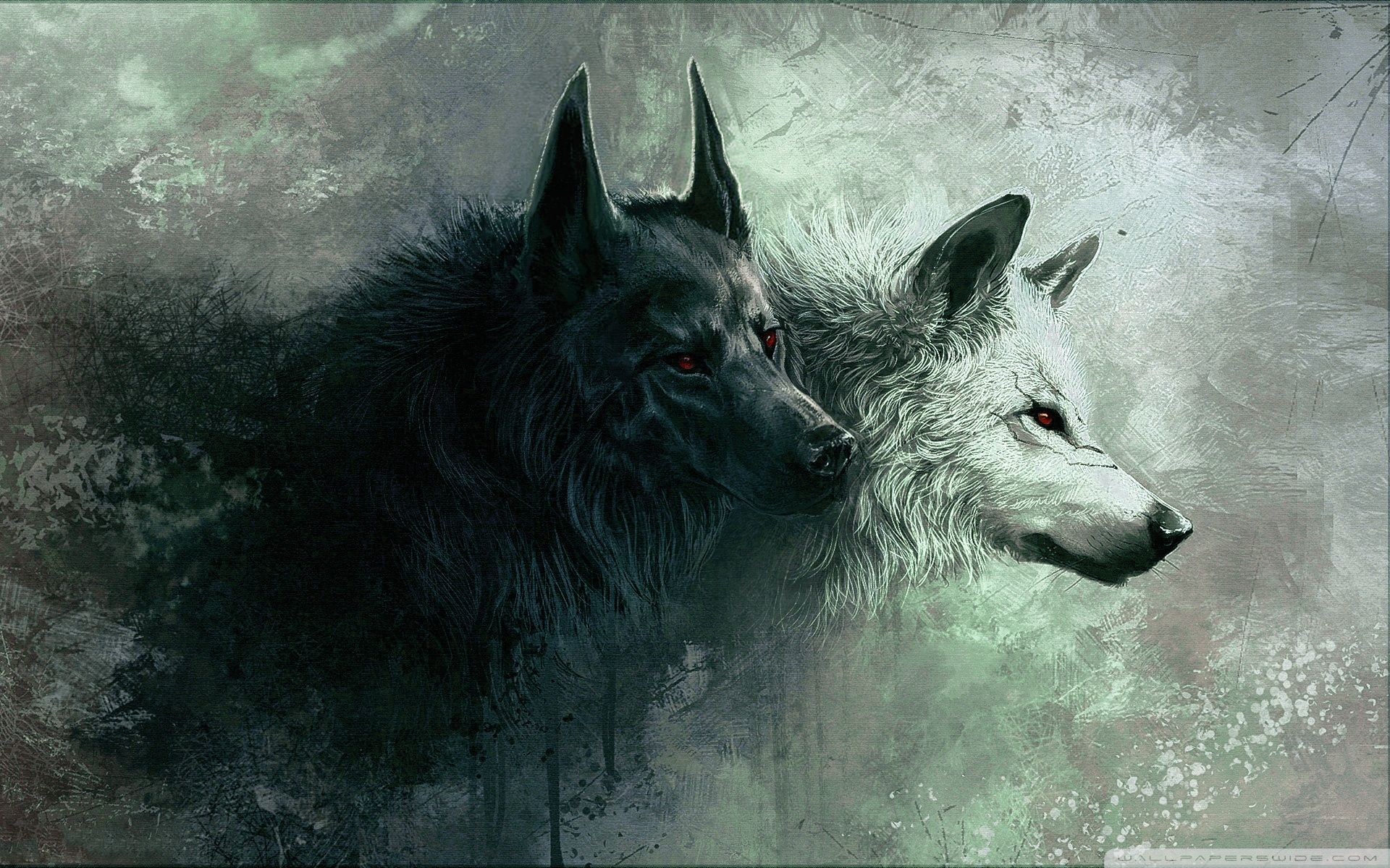 Wolf Hd Wallpapers