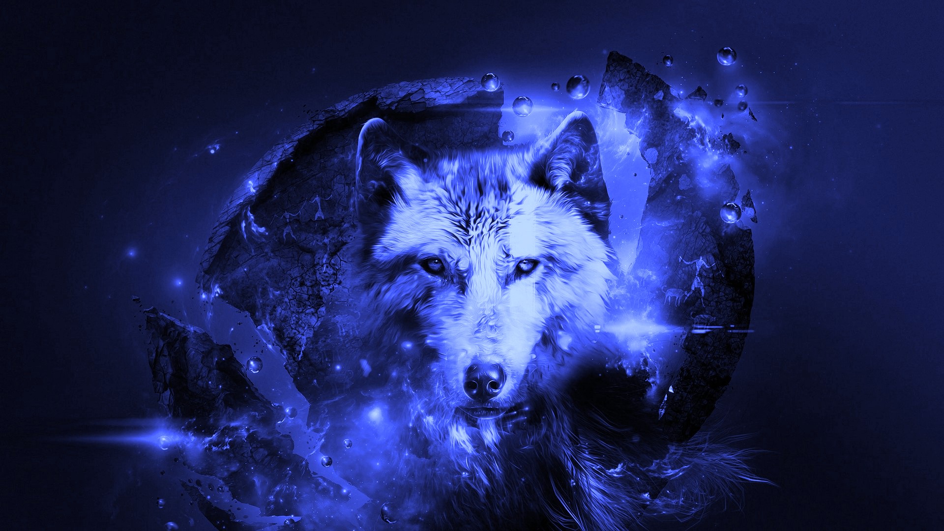 Wolf Hd Wallpapers