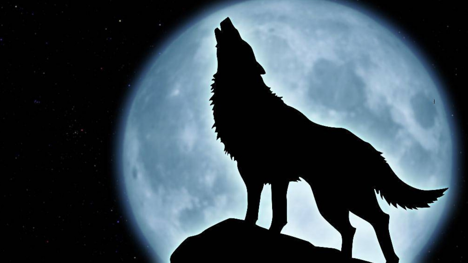 Wolf Howling Wallpapers