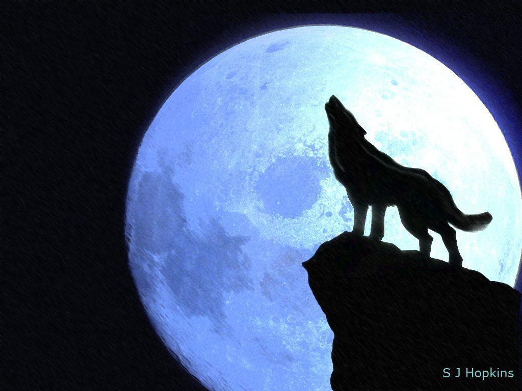 Wolf Howling At The Moon Wallpapers