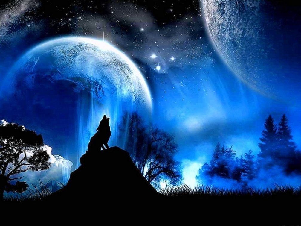 Wolf Howling At The Moon Wallpapers