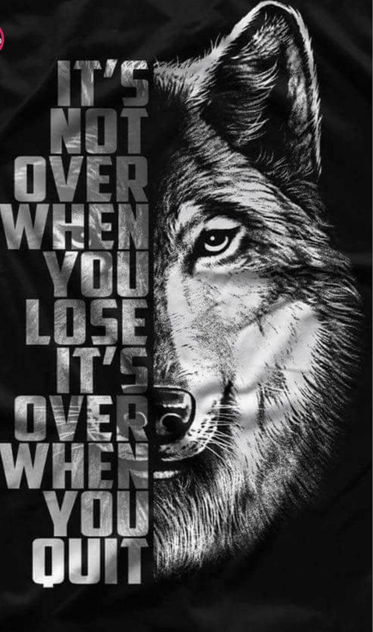 Wolf Iphone 6 Wallpapers