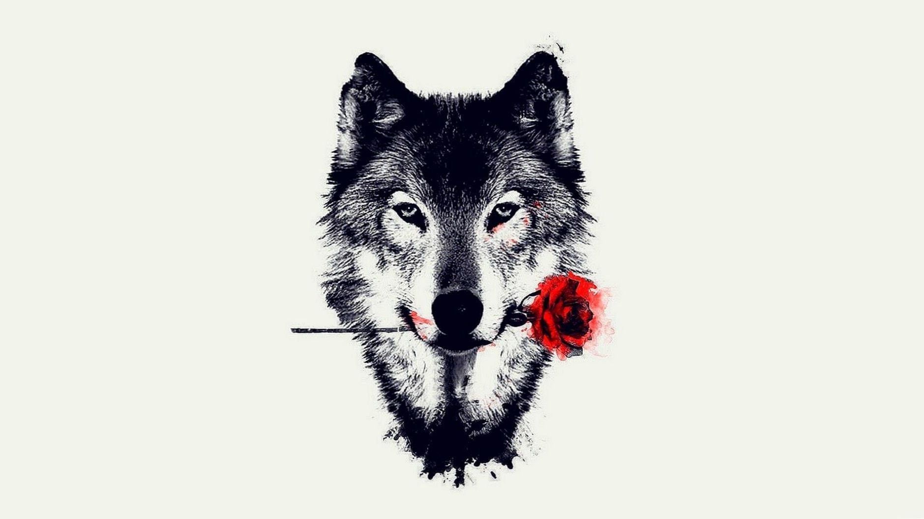 Wolf Laptop Wallpapers