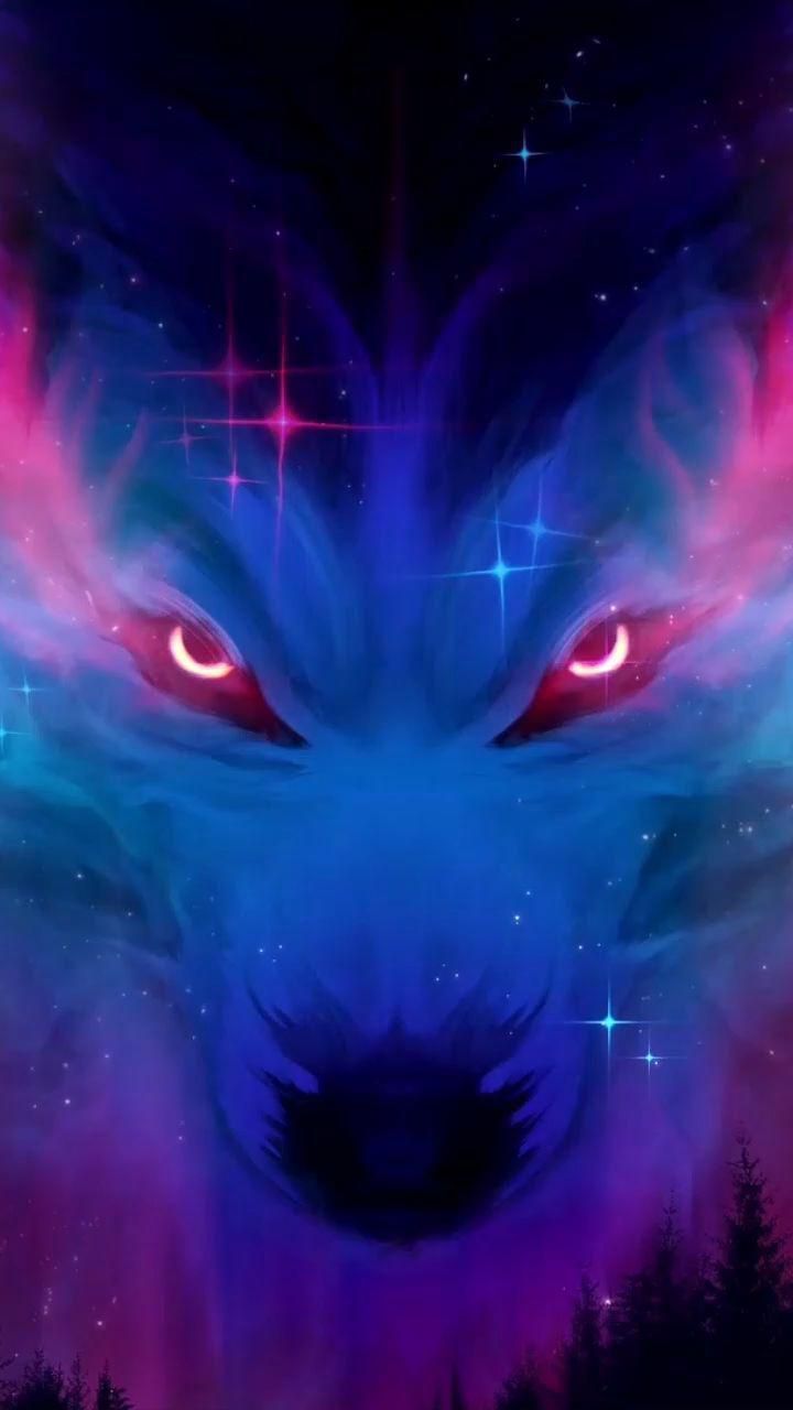 Wolf Live Iphone Wallpapers