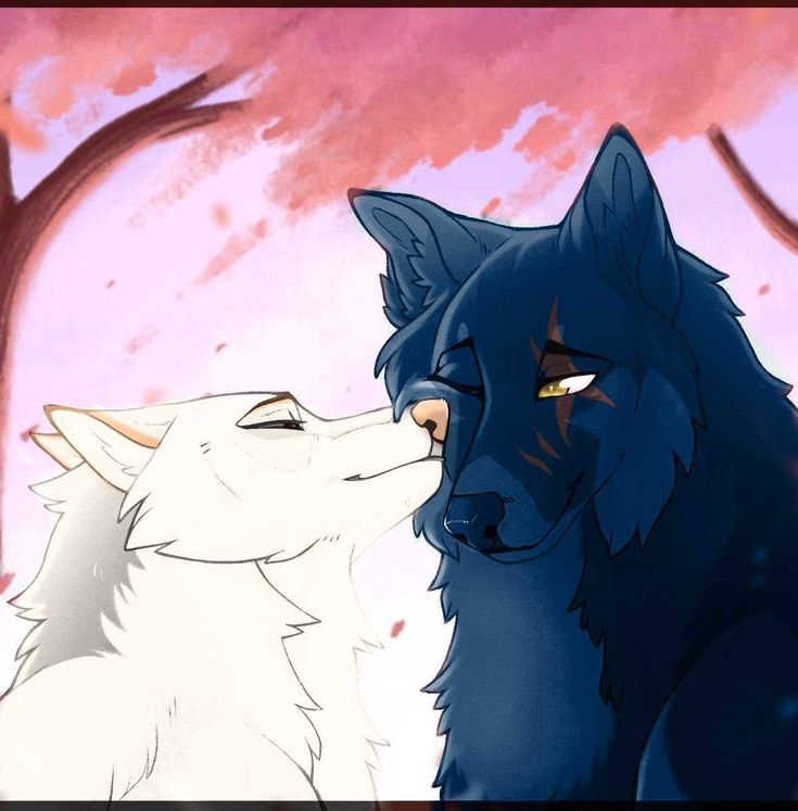 Wolf Love Wallpapers