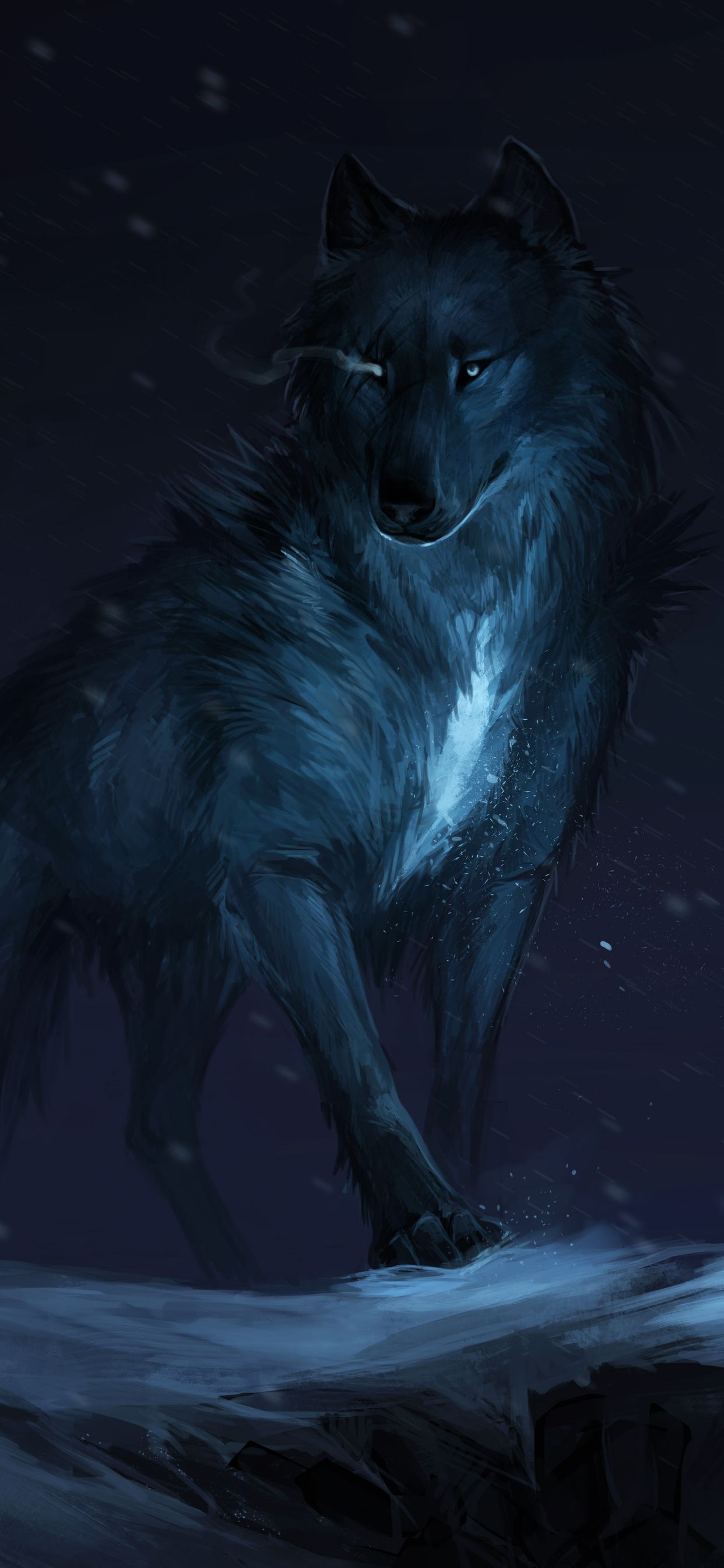 Wolf Phone Wallpapers