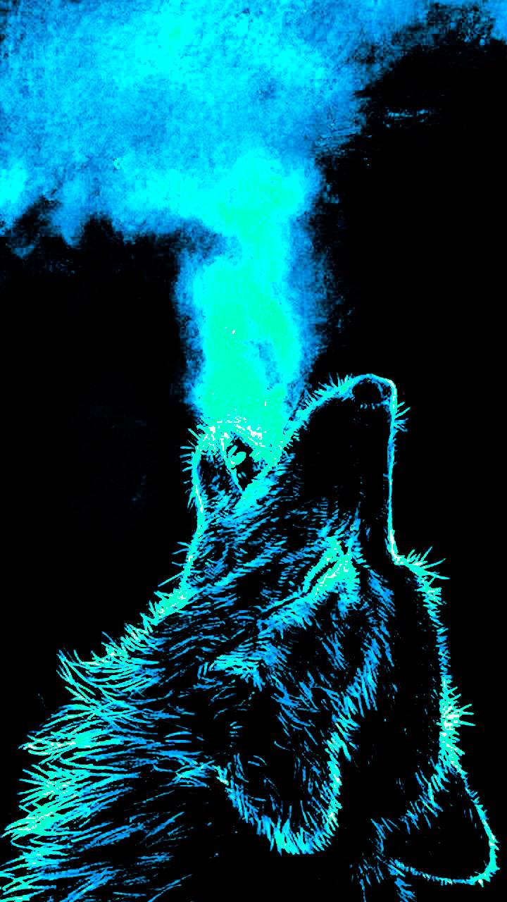 Wolf Phone Wallpapers