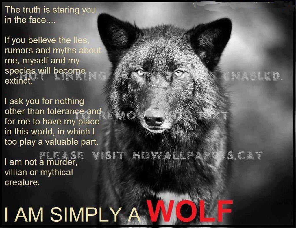 Wolf Quotes Wallpapers