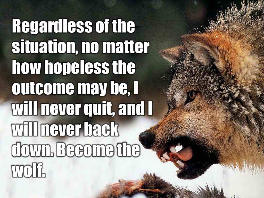 Wolf Quotes Wallpapers