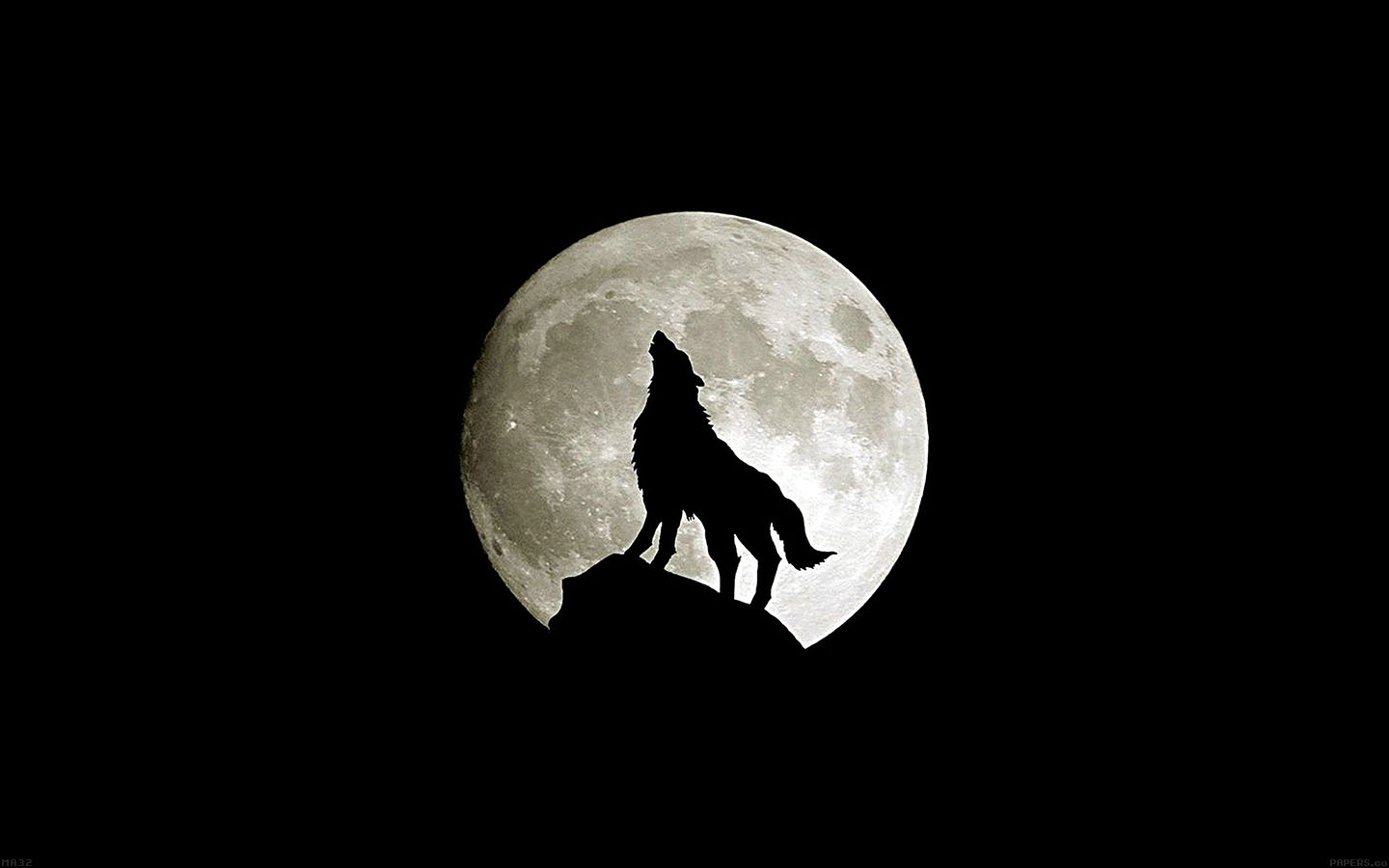 Wolf Quotes Wallpapers