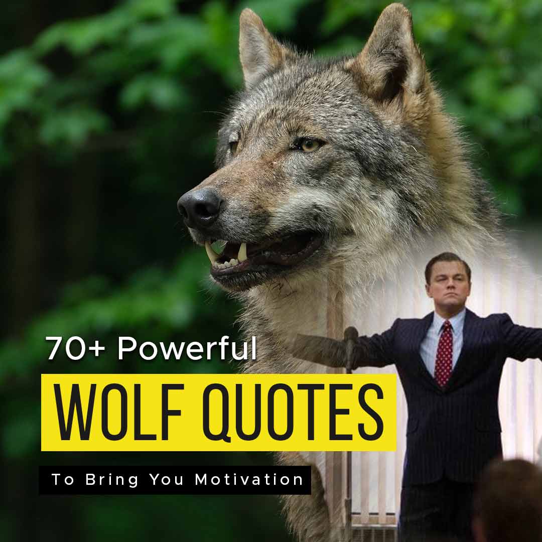 Wolf Quotes Wallpapers