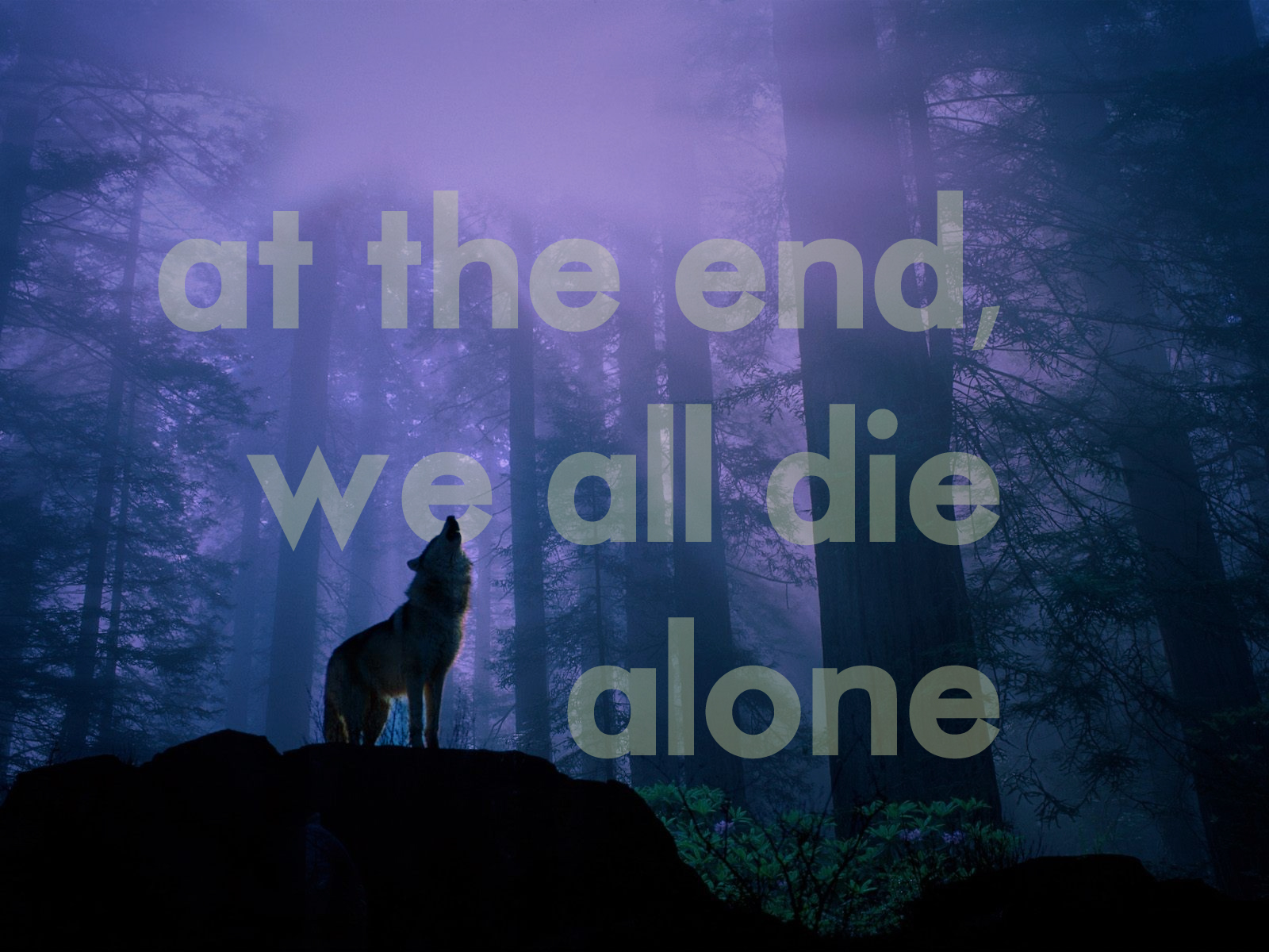 Wolf Quotes Wallpapers