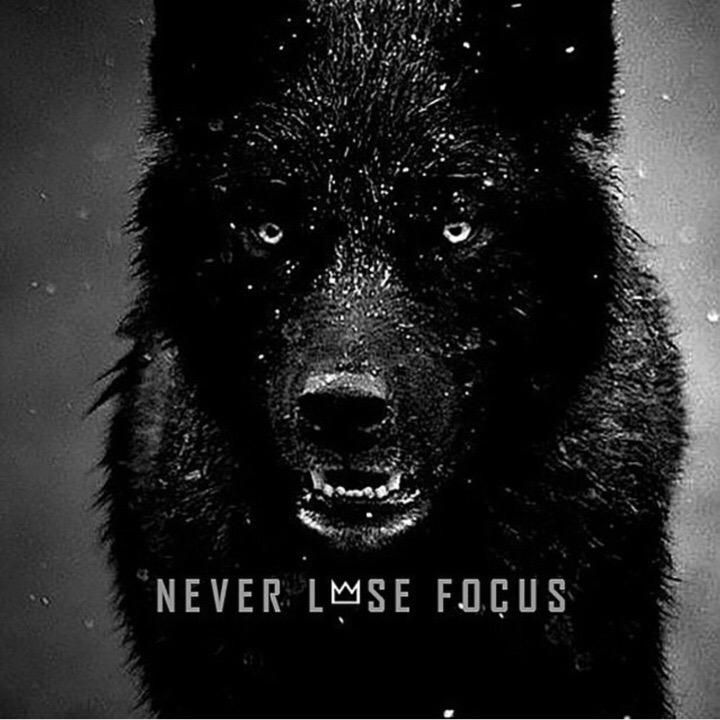 Wolf Quotes Wallpapers