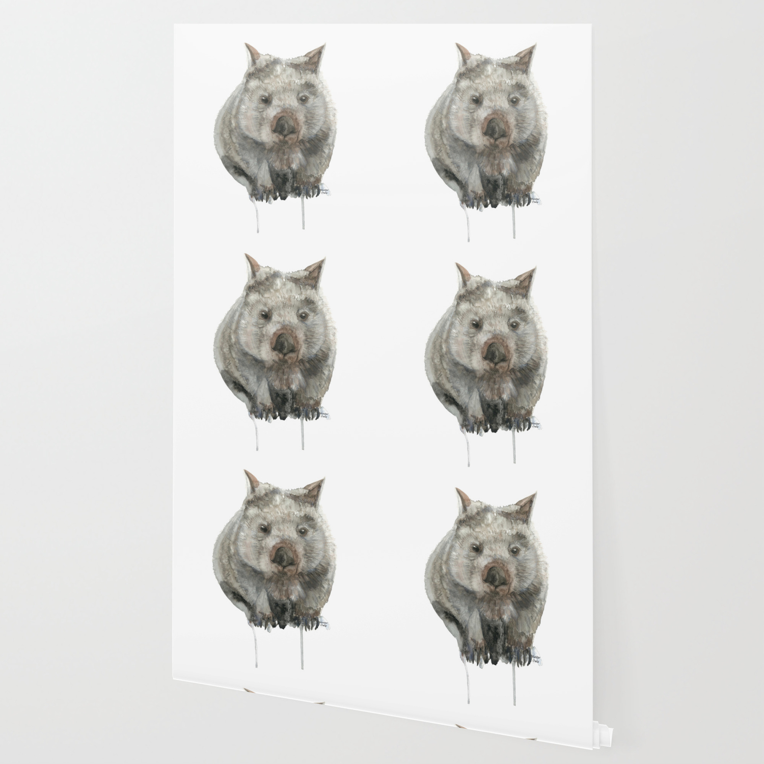 Wombats Wallpapers