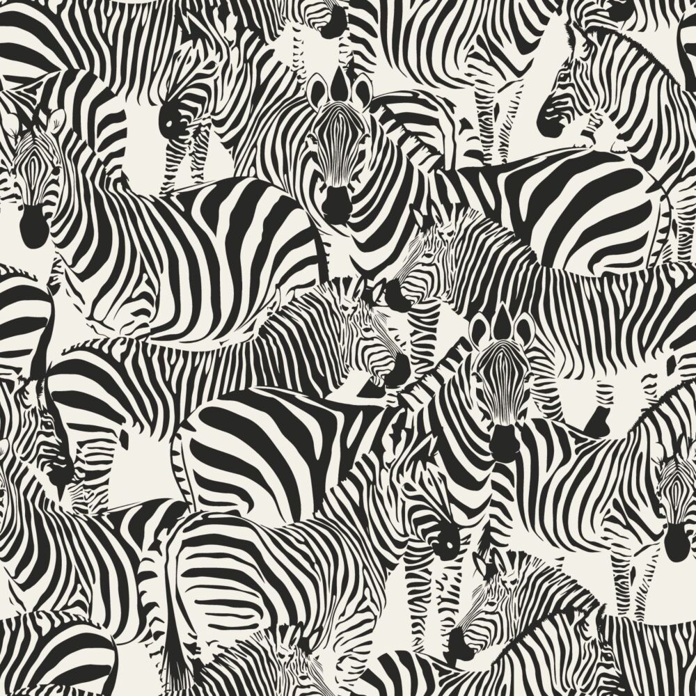 Zebras Wallpapers