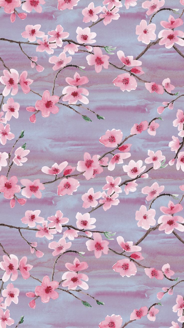 Cherry Blossom Aesthetic Wallpapers