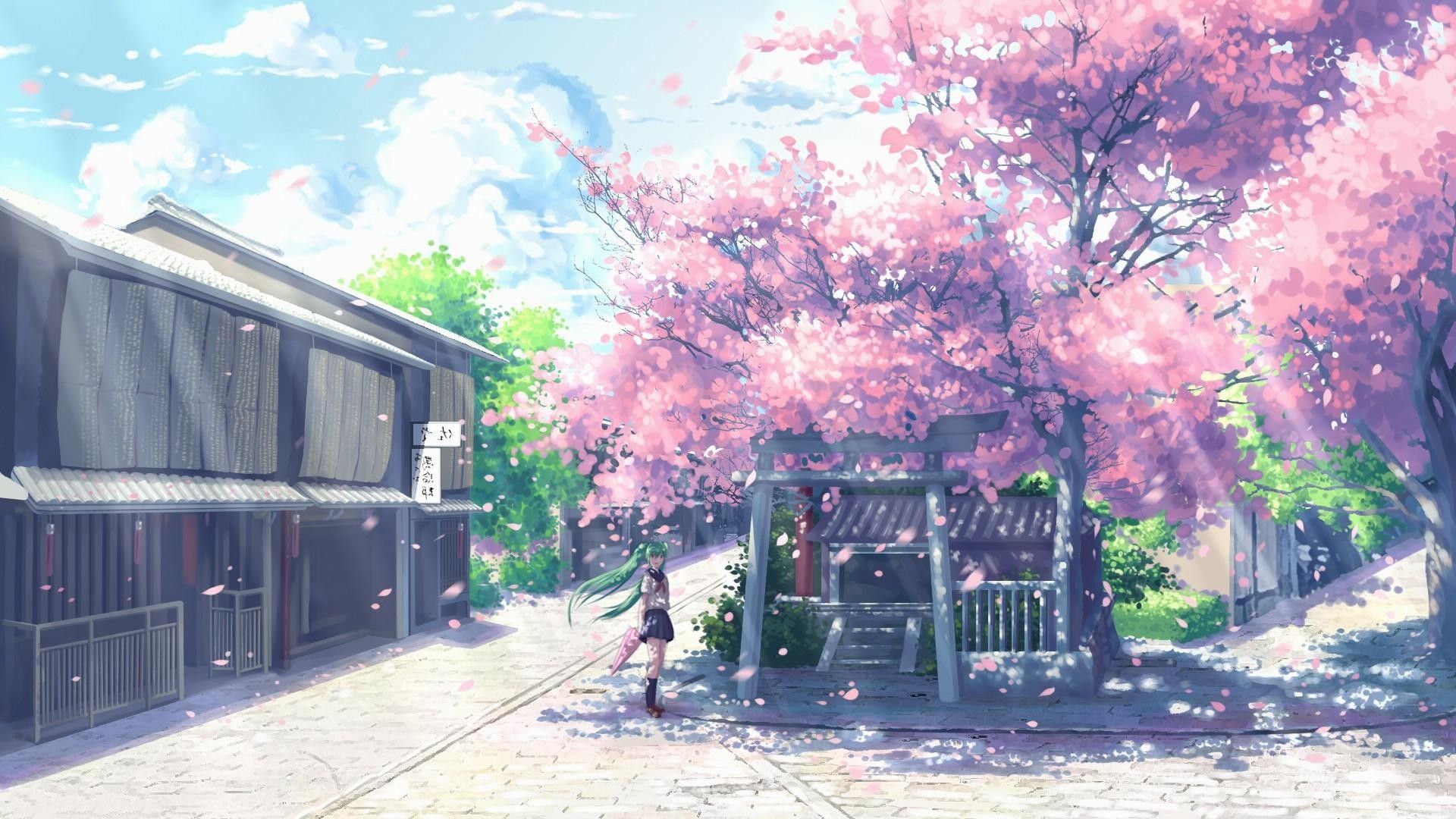 Cherry Blossom Anime Wallpapers