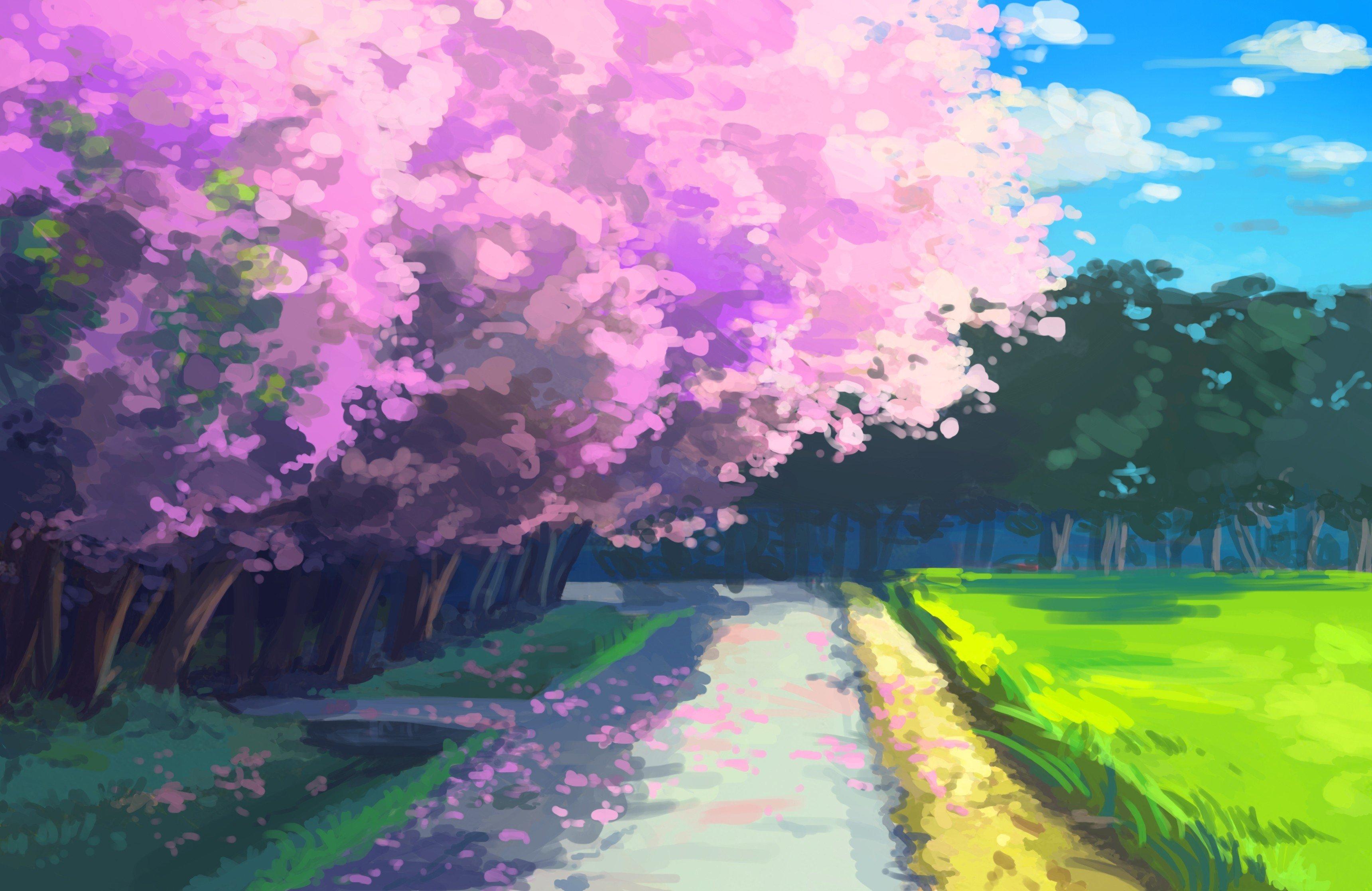 Cherry Blossom Anime Wallpapers