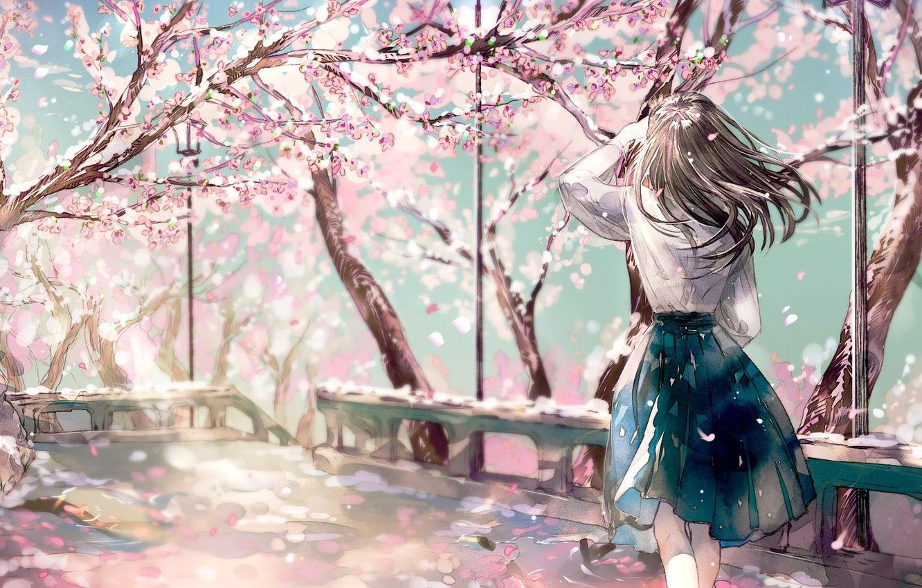 Cherry Blossom Anime Wallpapers