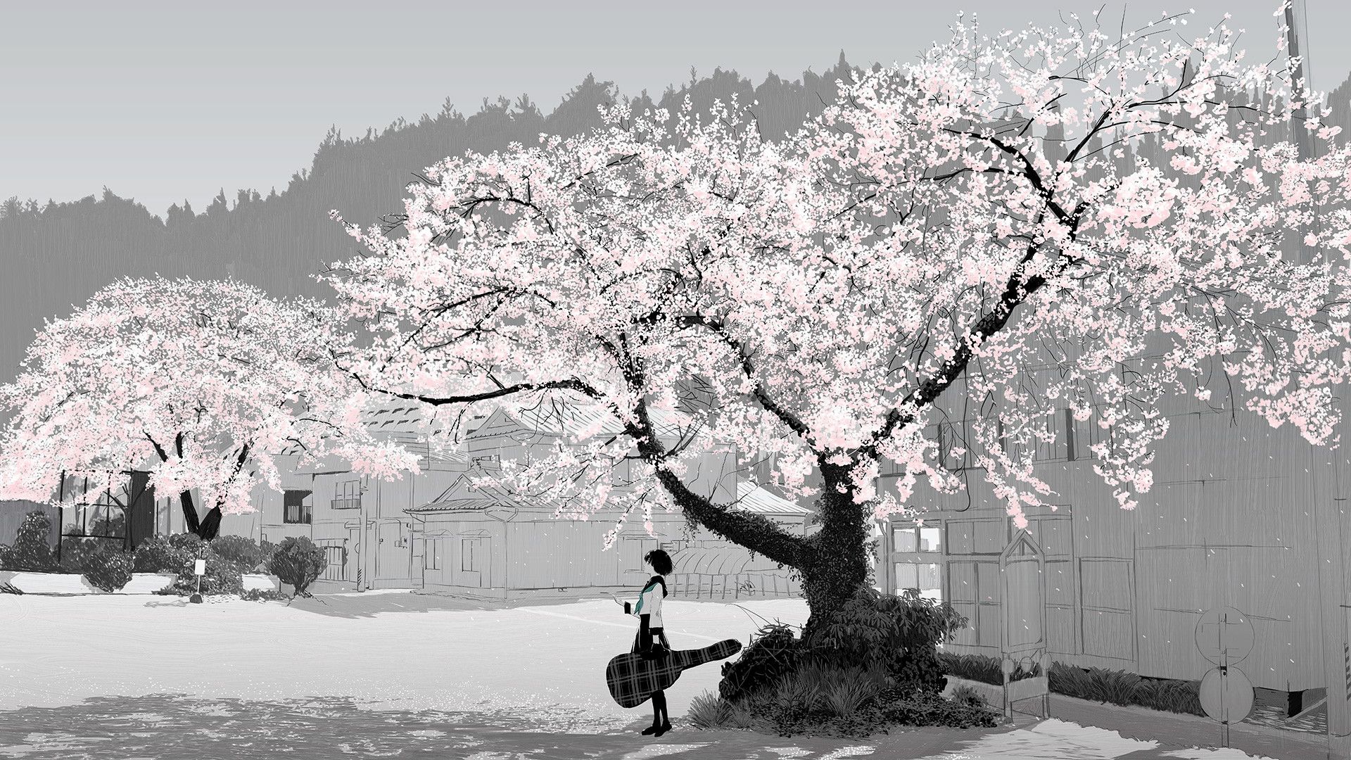 Cherry Blossom Anime Wallpapers