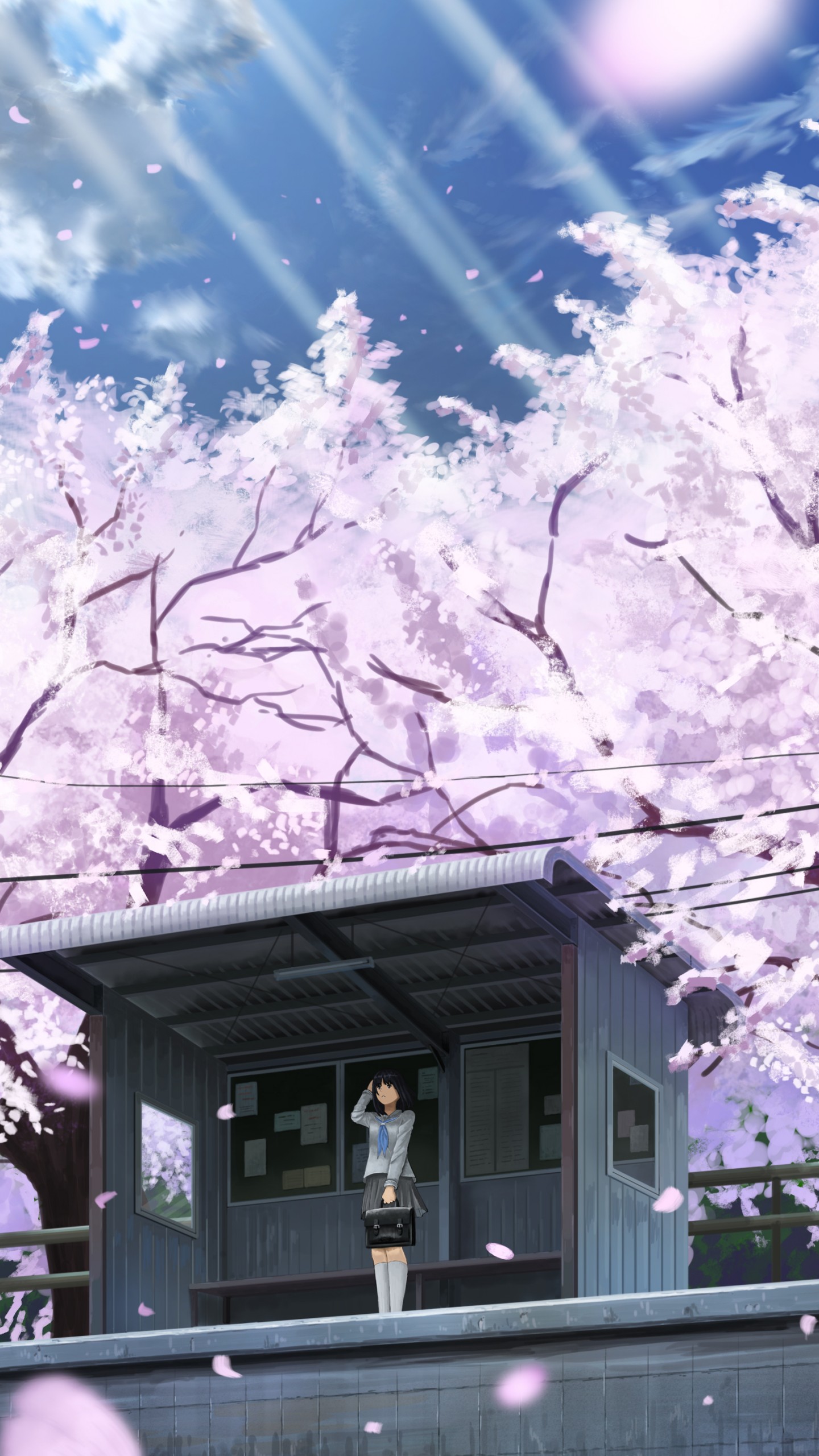 Cherry Blossom Anime Wallpapers