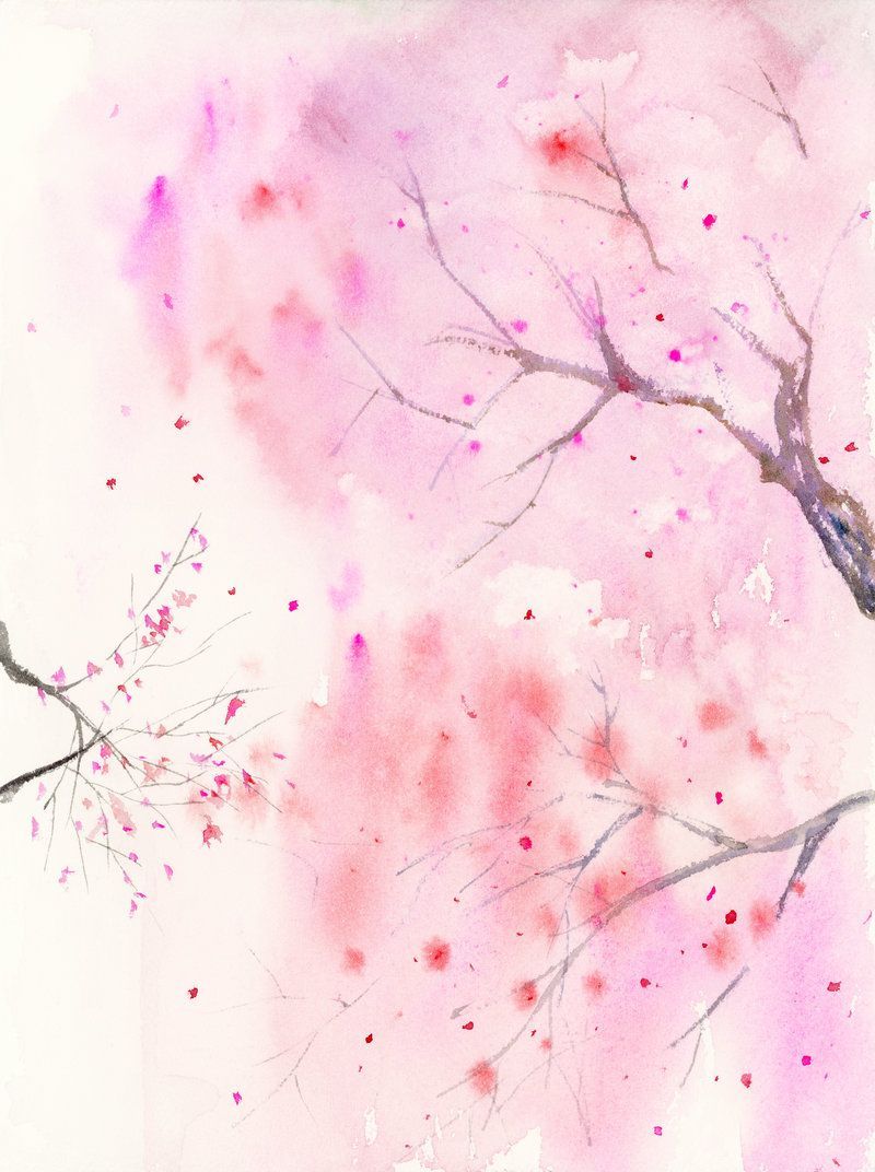 Cherry Blossom Art Wallpapers