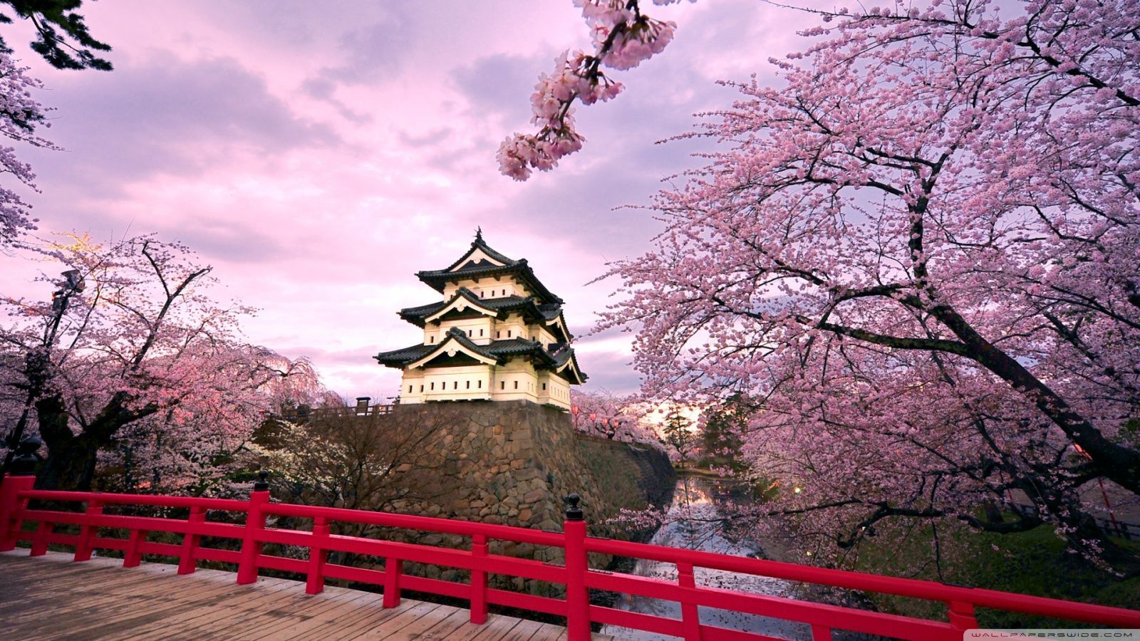 Cherry Blossom Hd Wallpapers